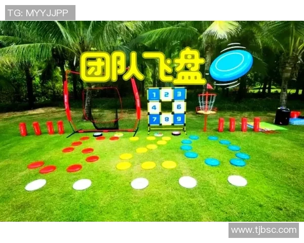 飞盘灵活性排行榜揭晓杭州飞盘队表现卓越名列前茅